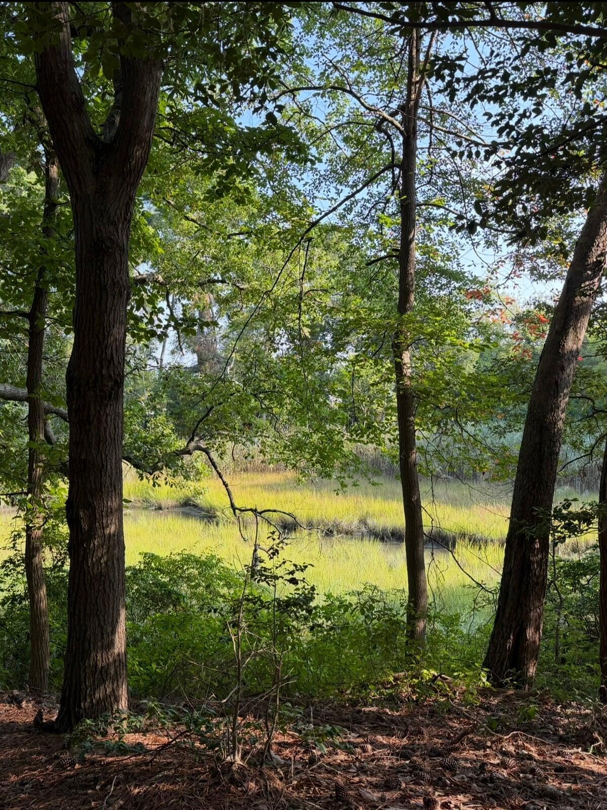 Walking trail